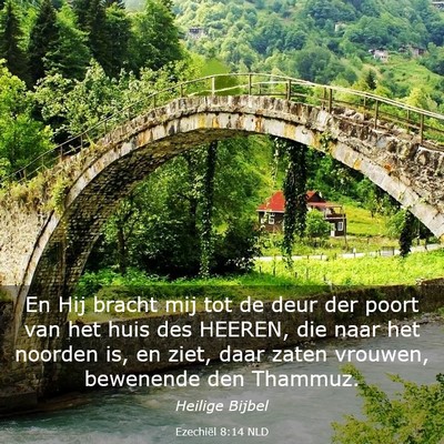 Picture 03 - Ezechiël 8:14 NLD - En Hij bracht mij tot de deur der poort van het - Bible Verse Picture