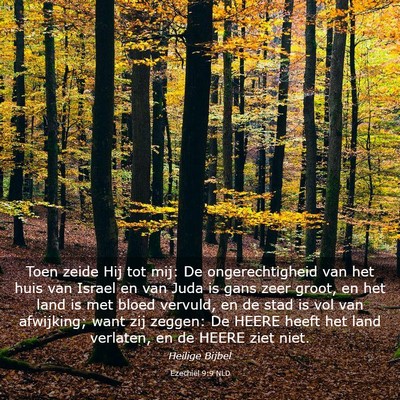 Picture 03 - Ezechiël 9:9 NLD - Toen zeide Hij tot mij: De ongerechtigheid van - Bible Verse Picture