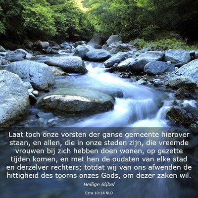 Picture 03 - Ezra 10:14 NLD - Laat toch onze vorsten der ganse gemeente - Bible Verse Picture