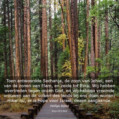 Picture 03 - Ezra 10:2 NLD - Toen antwoordde Sechanja, de zoon van Jehiel, een - Bible Verse Picture
