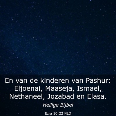 Picture 03 - Ezra 10:22 NLD - En van de kinderen van Pashur: Eljoenai, Maaseja, - Bible Verse Picture