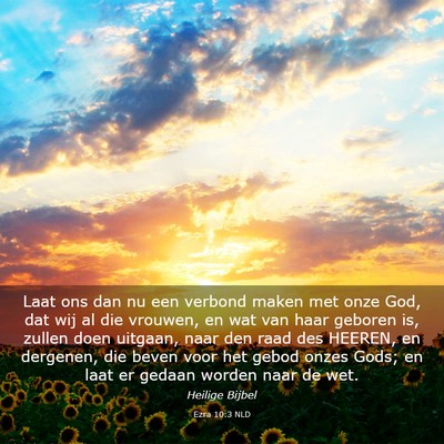 Picture 03 - Ezra 10:3 NLD - Laat ons dan nu een verbond maken met onze God, - Bible Verse Picture
