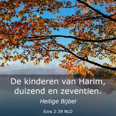 Picture 03 - Ezra 2:39 NLD - De kinderen van Harim, duizend en - Bible Verse Picture