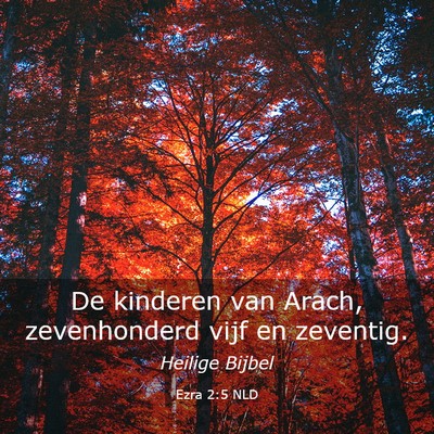 Picture 03 - Ezra 2:5 NLD - De kinderen van Arach, zevenhonderd vijf en - Bible Verse Picture