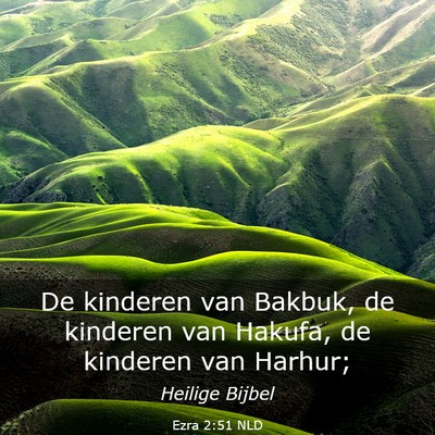 Picture 03 - Ezra 2:51 NLD - De kinderen van Bakbuk, de kinderen van Hakufa, - Bible Verse Picture