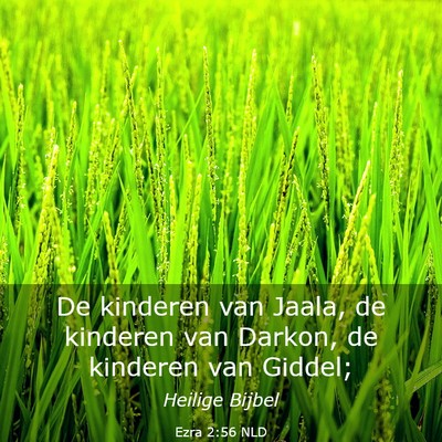 Picture 03 - Ezra 2:56 NLD - De kinderen van Jaala, de kinderen van Darkon, de - Bible Verse Picture