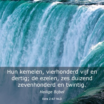 Picture 03 - Ezra 2:67 NLD - Hun kemelen, vierhonderd vijf en dertig; de - Bible Verse Picture