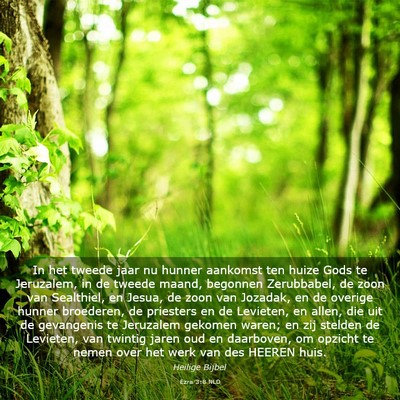 Picture 03 - Ezra 3:8 NLD - In het tweede jaar nu hunner aankomst ten huize - Bible Verse Picture