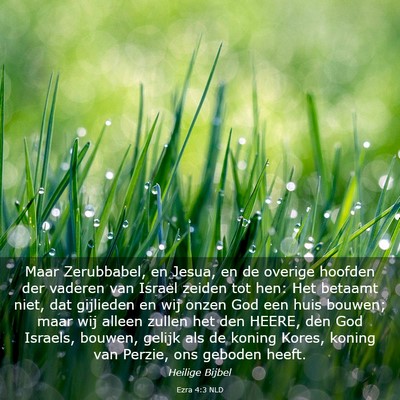 Picture 03 - Ezra 4:3 NLD - Maar Zerubbabel, en Jesua, en de overige hoofden - Bible Verse Picture