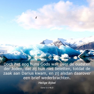 Picture 03 - Ezra 5:5 NLD - Doch het oog huns Gods was over de oudsten der - Bible Verse Picture