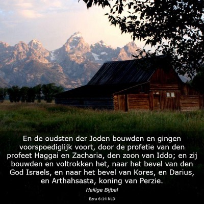 Picture 03 - Ezra 6:14 NLD - En de oudsten der Joden bouwden en gingen - Bible Verse Picture