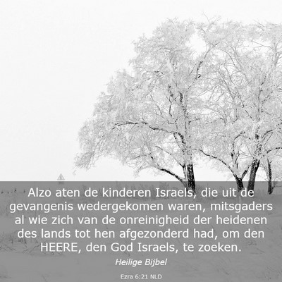 Picture 03 - Ezra 6:21 NLD - Alzo aten de kinderen Israels, die uit de - Bible Verse Picture