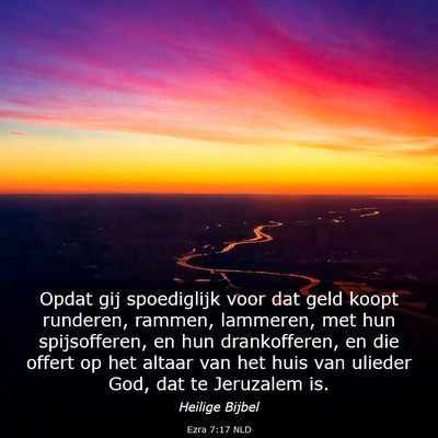 Picture 03 - Ezra 7:17 NLD - Opdat gij spoediglijk voor dat geld koopt - Bible Verse Picture