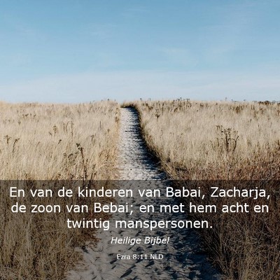 Picture 03 - Ezra 8:11 NLD - En van de kinderen van Babai, Zacharja, de zoon - Bible Verse Picture