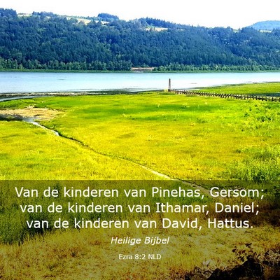 Picture 03 - Ezra 8:2 NLD - Van de kinderen van Pinehas, Gersom; van de - Bible Verse Picture