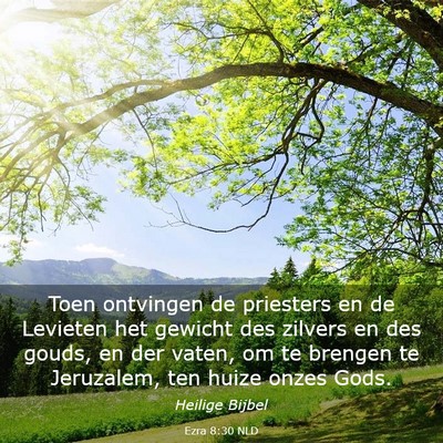 Picture 03 - Ezra 8:30 NLD - Toen ontvingen de priesters en de Levieten het - Bible Verse Picture