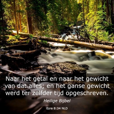 Picture 03 - Ezra 8:34 NLD - Naar het getal en naar het gewicht van dat alles; - Bible Verse Picture