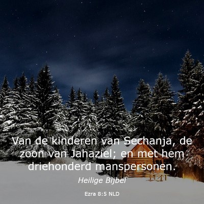 Picture 03 - Ezra 8:5 NLD - Van de kinderen van Sechanja, de zoon van - Bible Verse Picture