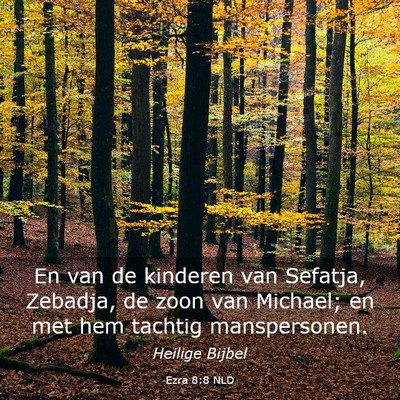 Picture 03 - Ezra 8:8 NLD - En van de kinderen van Sefatja, Zebadja, de zoon - Bible Verse Picture