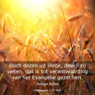 Picture 03 - Filippenzen 1:17 NLD - Doch dezen uit liefde, dewijl zij weten, dat ik - Bible Verse Picture