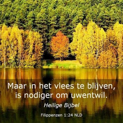 Picture 03 - Filippenzen 1:24 NLD - Maar in het vlees te blijven, is nodiger om - Bible Verse Picture