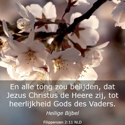 Picture 03 - Filippenzen 2:11 NLD - En alle tong zou belijden, dat Jezus Christus de - Bible Verse Picture