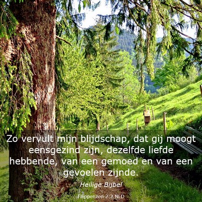 Picture 03 - Filippenzen 2:2 NLD - Zo vervult mijn blijdschap, dat gij moogt - Bible Verse Picture