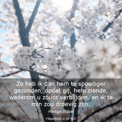 Picture 03 - Filippenzen 2:28 NLD - Zo heb ik dan hem te spoediger gezonden, opdat - Bible Verse Picture