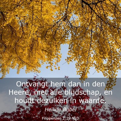 Picture 03 - Filippenzen 2:29 NLD - Ontvangt hem dan in den Heere, met alle - Bible Verse Picture
