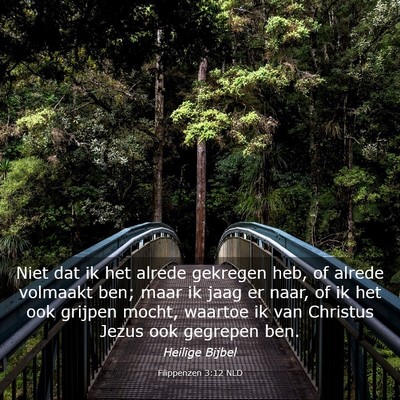 Picture 03 - Filippenzen 3:12 NLD - Niet dat ik het alrede gekregen heb, of alrede - Bible Verse Picture