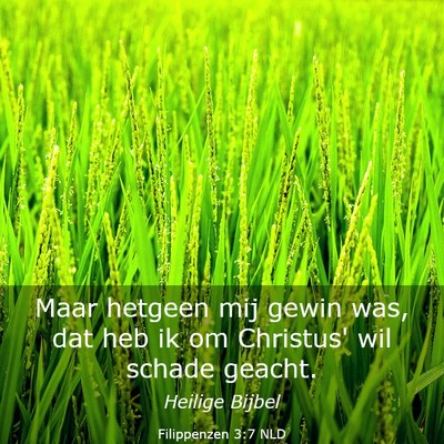 Picture 03 - Filippenzen 3:7 NLD - Maar hetgeen mij gewin was, dat heb ik om - Bible Verse Picture