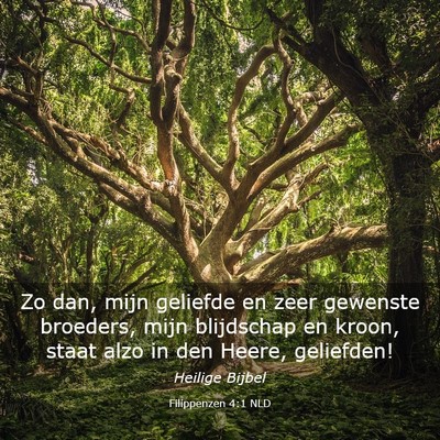 Picture 03 - Filippenzen 4:1 NLD - Zo dan, mijn geliefde en zeer gewenste broeders, - Bible Verse Picture