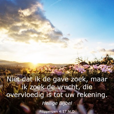 Picture 03 - Filippenzen 4:17 NLD - Niet dat ik de gave zoek, maar ik zoek de vrucht, - Bible Verse Picture