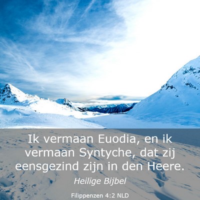 Picture 03 - Filippenzen 4:2 NLD - Ik vermaan Euodia, en ik vermaan Syntyche, dat - Bible Verse Picture