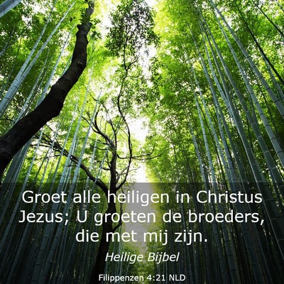 Picture 03 - Filippenzen 4:21 NLD - Groet alle heiligen in Christus Jezus; U groeten - Bible Verse Picture