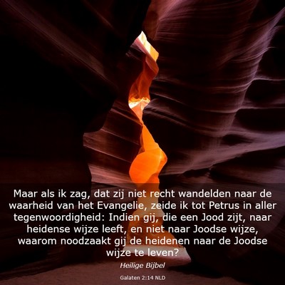 Picture 03 - Galaten 2:14 NLD - Maar als ik zag, dat zij niet recht wandelden - Bible Verse Picture