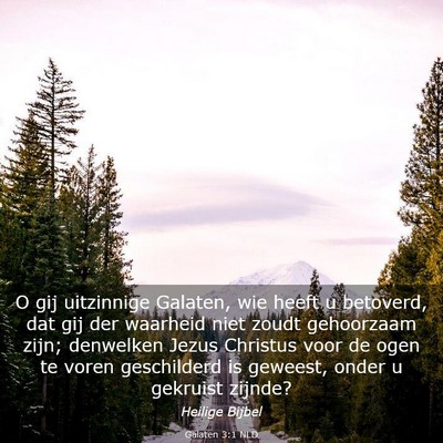 Picture 03 - Galaten 3:1 NLD - O gij uitzinnige Galaten, wie heeft u betoverd, - Bible Verse Picture