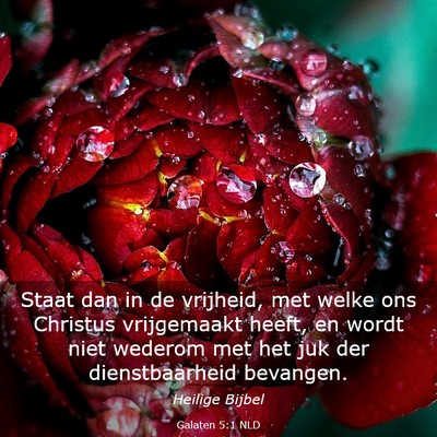 Picture 03 - Galaten 5:1 NLD - Staat dan in de vrijheid, met welke ons Christus - Bible Verse Picture