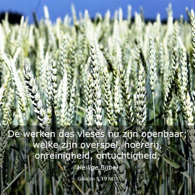 Picture 03 - Galaten 5:19 NLD - De werken des vleses nu zijn openbaar; welke zijn - Bible Verse Picture