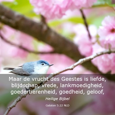 Picture 03 - Galaten 5:22 NLD - Maar de vrucht des Geestes is liefde, blijdschap, - Bible Verse Picture