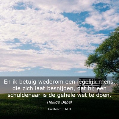 Picture 03 - Galaten 5:3 NLD - En ik betuig wederom een iegelijk mens, die zich - Bible Verse Picture