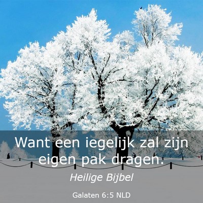 Picture 03 - Galaten 6:5 NLD - Want een iegelijk zal zijn eigen pak - Bible Verse Picture