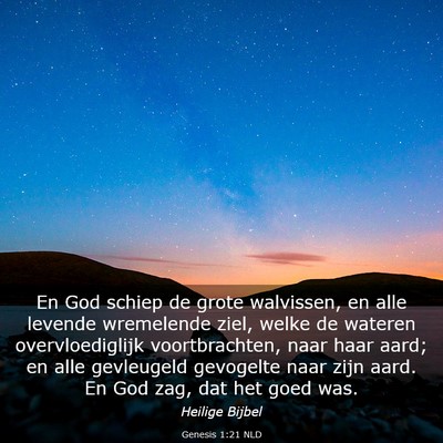 Picture 03 - Genesis 1:21 NLD - En God schiep de grote walvissen, en alle levende - Bible Verse Picture