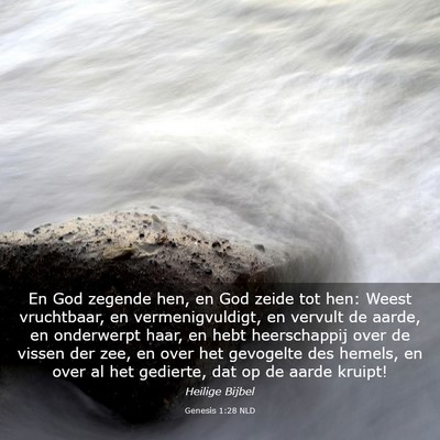 Picture 03 - Genesis 1:28 NLD - En God zegende hen, en God zeide tot hen: Weest - Bible Verse Picture