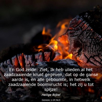 Picture 03 - Genesis 1:29 NLD - En God zeide: Ziet, Ik heb ulieden al het - Bible Verse Picture
