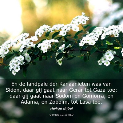 Picture 03 - Genesis 10:19 NLD - En de landpale der Kanaanieten was van Sidon, - Bible Verse Picture
