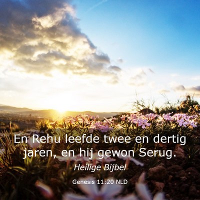 Picture 03 - Genesis 11:20 NLD - En Rehu leefde twee en dertig jaren, en hij gewon - Bible Verse Picture