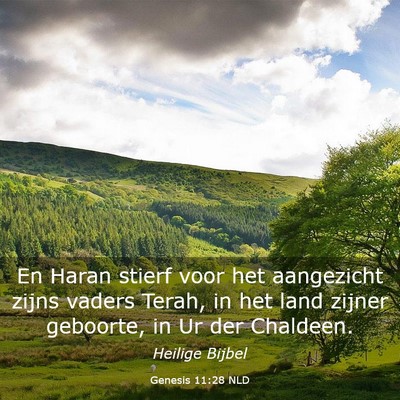 Picture 03 - Genesis 11:28 NLD - En Haran stierf voor het aangezicht zijns vaders - Bible Verse Picture