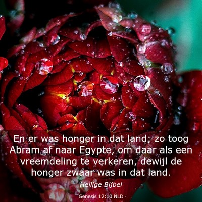 Picture 03 - Genesis 12:10 NLD - En er was honger in dat land; zo toog Abram af - Bible Verse Picture