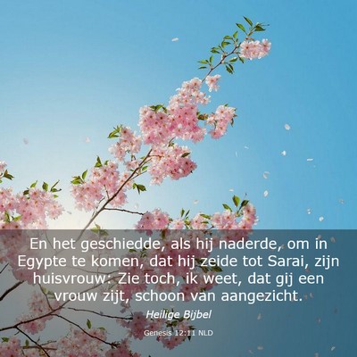 Picture 03 - Genesis 12:11 NLD - En het geschiedde, als hij naderde, om in Egypte - Bible Verse Picture